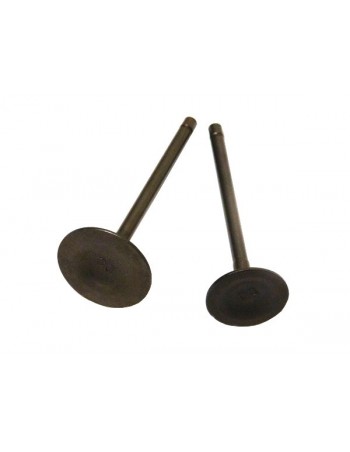Lot de 2 soupapes 23 / 27 mm