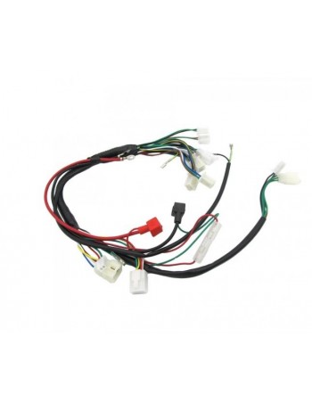 Faisceau électrique type...