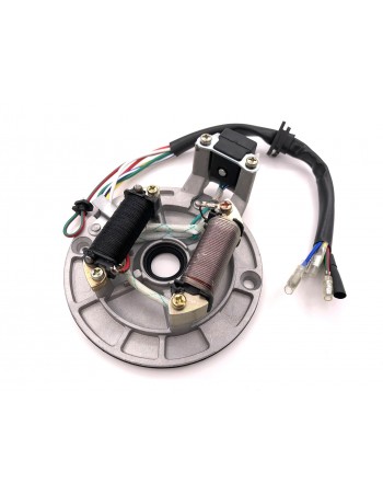 Stator / Plateau Allumage 2...