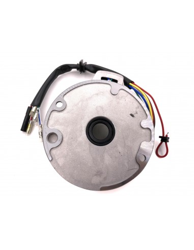 Stator / Plateau Allumage 2 Bobines...
