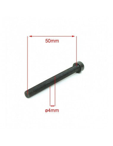 Vis de fixation (x2) de carburateur...