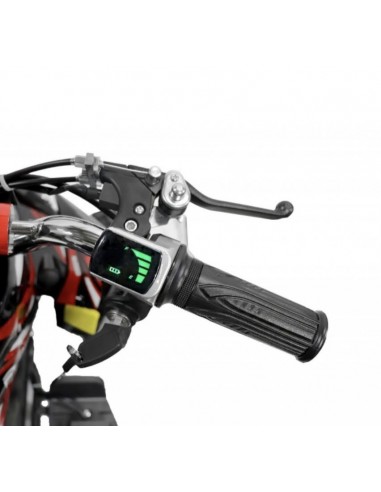 Pocket Quad 36V 800W CARBONE - 6 Pouces