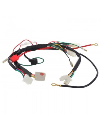 Faisceau Dirt Bike 50 à...