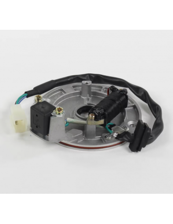Stator / Plateau Allumage 1...