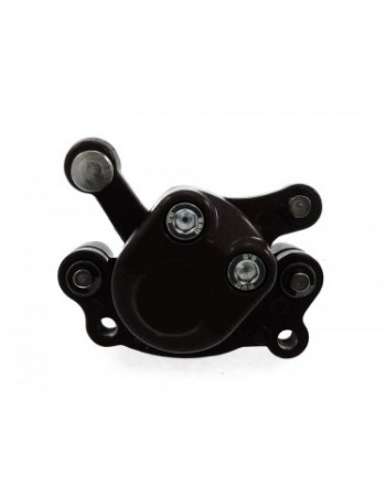 Étrier de frein ARRIERE... 2