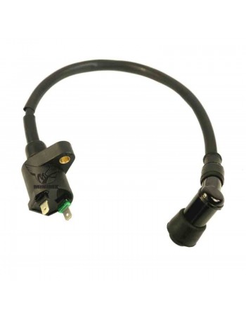 Bobine Allumage Quad / Dirt...
