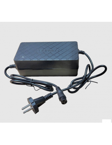 Chargeur 48V Pocket Bike / Quad...