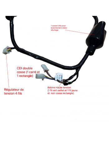 Faisceau Dirt Bike / Pit... 2