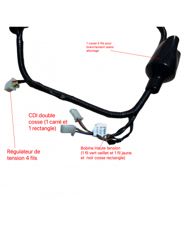 Faisceau Dirt Bike / Pit Bike /...