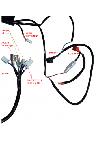 Faisceau Dirt Bike / Pit Bike /...