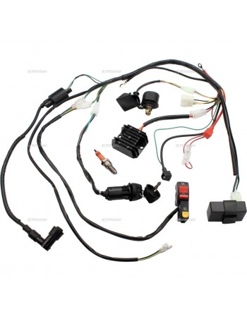 Pack Allumage / Faisceau...