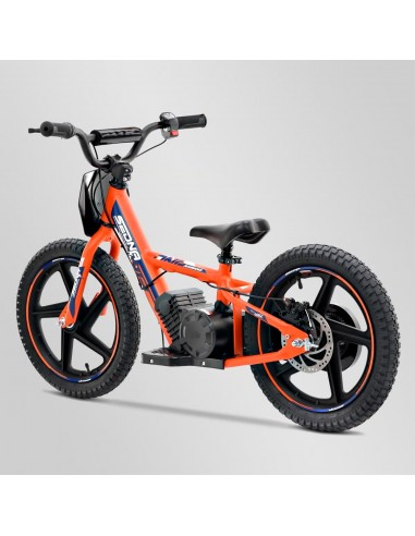 Draisienne électrique 24V 250W APOLLO...