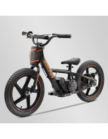 Draisienne électrique 24V...
