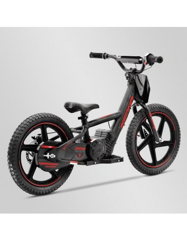 Draisienne électrique 24V 250W APOLLO...