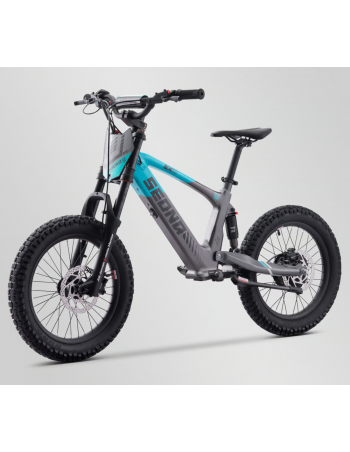 Draisienne électrique 36V...