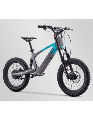 Draisienne électrique 36V 500W APOLLO...