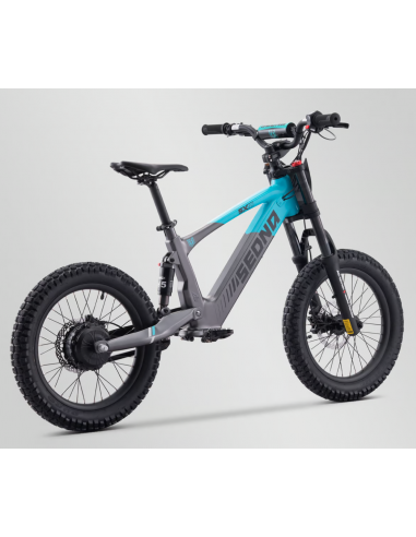 Draisienne électrique 36V 500W APOLLO...