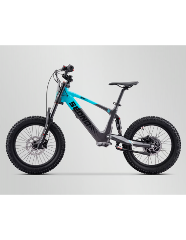 Draisienne électrique 36V 500W APOLLO...