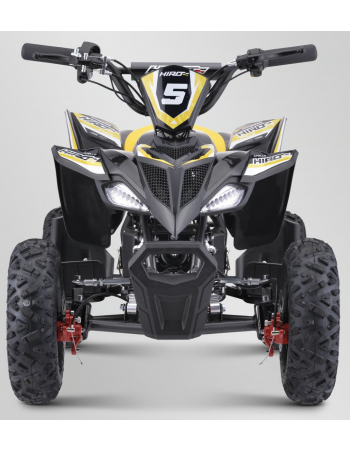 Pocket Quad 36V 800W APOLLO... 2