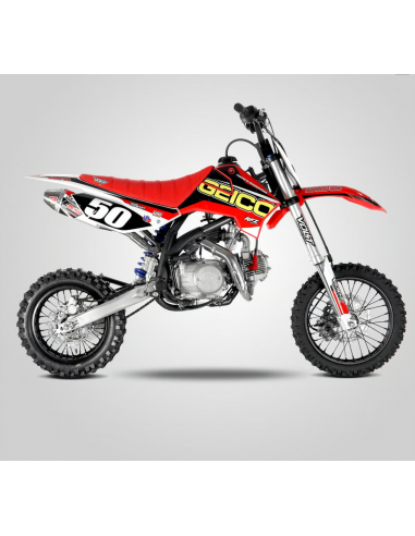 Pack Kit plastique + Kit déco GEICO...