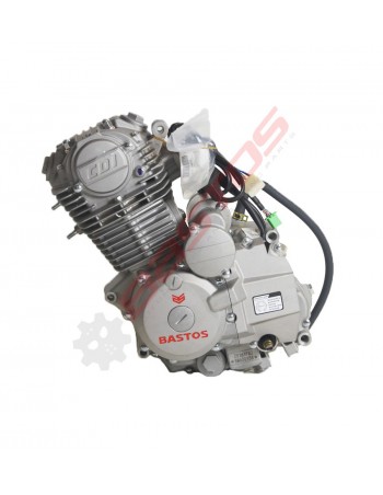 Moteur Vertical Zongshen...