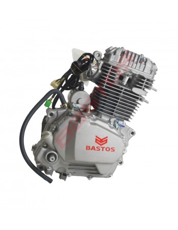 Moteur Vertical Zongshen... 2