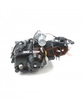 Moteur Horizontal Lifan... 2