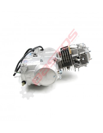 Moteur Horizontal Lifan... 2