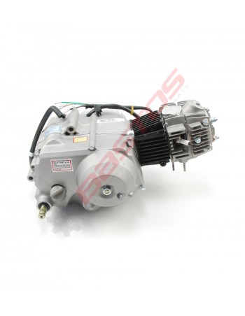 Moteur Horizontal Lifan... 2