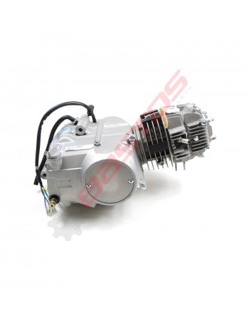 Moteur Horizontal Lifan... 2