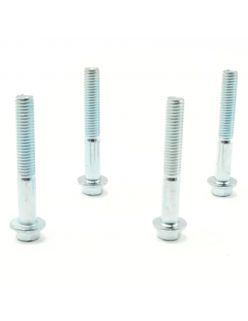 Lot de 4 vis de pontet de...