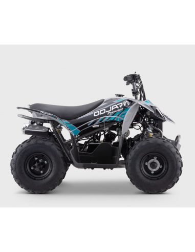 Quad 110cc APOLLO ODJAR PREDATOR - 7...