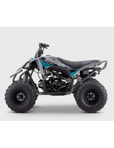 Quad 125cc APOLLO ODJAR PREDATOR - 8...