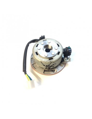 Allumage Mini Rotor racing type Rotor... Allumage Mini Rotor racing type Rotor...