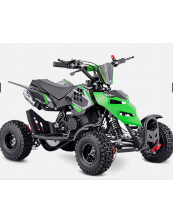 Kit déco Vert Monster...