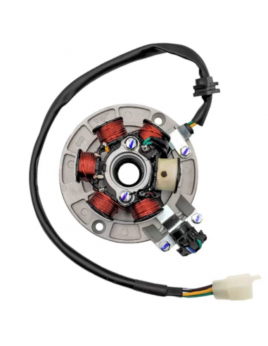 Stator / Plateau Allumage 6 bobines...