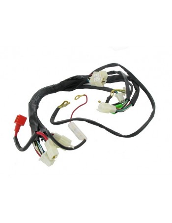 Faisceau Quad / ATV 150 à...