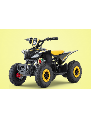 Pocket Quad 36V 800W APOLLO HIRO...