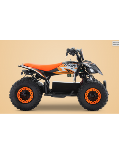Pocket Quad 36V 800W APOLLO HIRO...