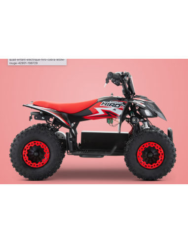 Pocket Quad 36V 800W APOLLO HIRO...