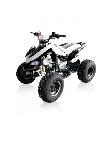 Selle Quad type Carbone / Speedbird /... Selle Quad type Carbone / Speedbird /...