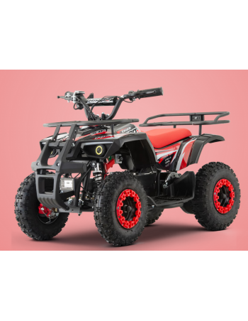 Pocket Quad 36V 800W APOLLO...