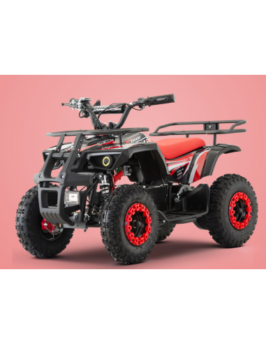 Pocket Quad 36V 800W APOLLO HIRO...