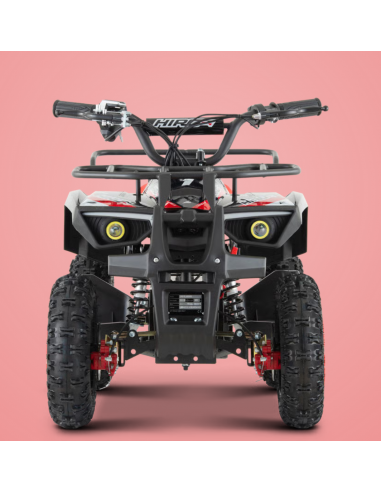 Pocket Quad 36V 800W APOLLO HIRO...