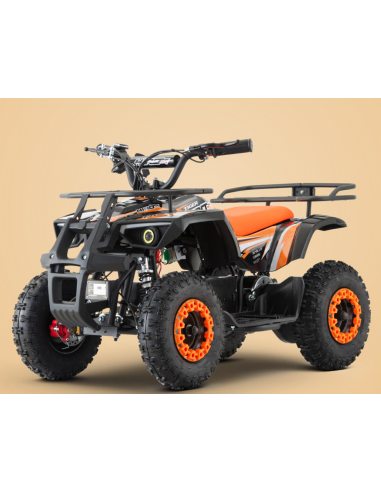 Pocket Quad 36V 800W APOLLO HIRO...