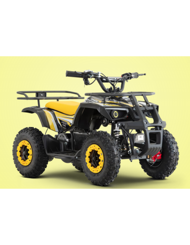 Pocket Quad 36V 800W APOLLO HIRO...