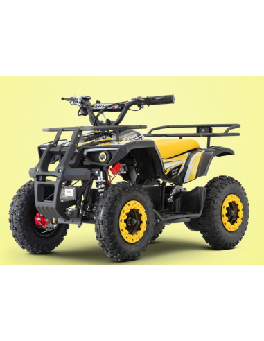 Pocket Quad 36V 800W APOLLO HIRO...