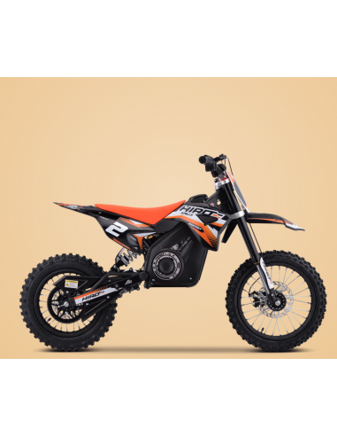 Dirt Bike 48V 1600W (BRUSHLESS)...