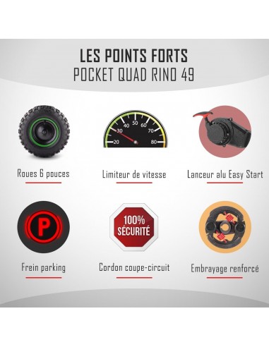 Pocket Quad 49cc DIAMON RINO 49 - 6...