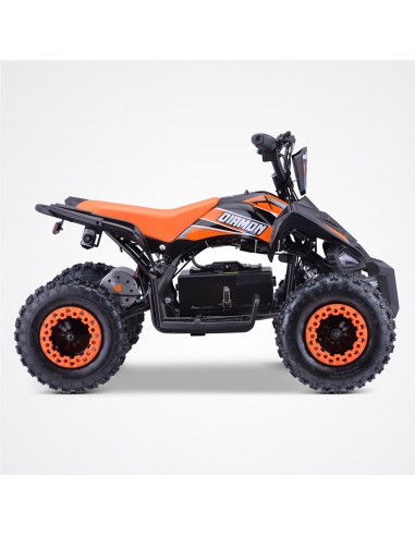 Pocket Quad 36V 800W DIAMON FLIP 800W...